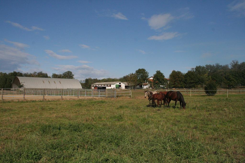 Agriturismo Fano'S Farm Suno Exteriér fotografie